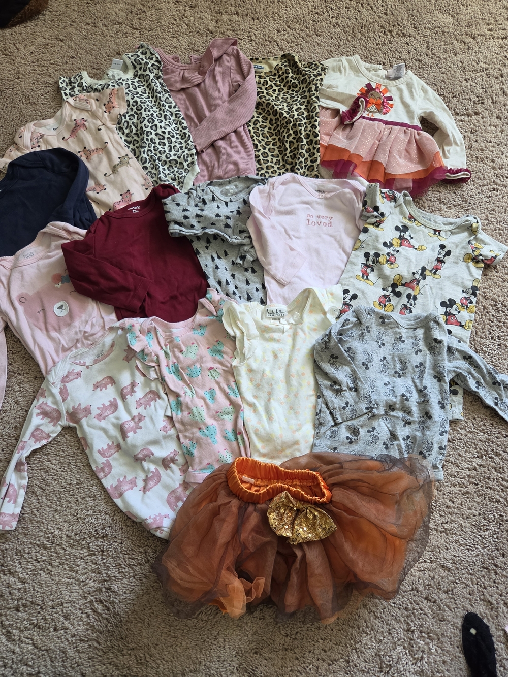 Baby Girl 12 Month Bundle Longe Sleeve Onesied Turkey Animal Print Shirt Layers